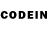 Псилоцибиновые грибы мицелий cccwhatuneed
