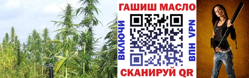 ТГК Wax  Рыльск 