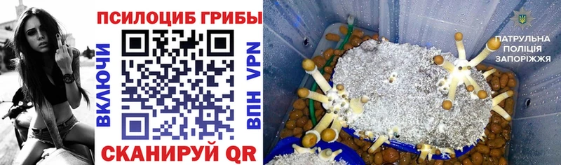 цены наркотик  Рыльск  Псилоцибиновые грибы Cubensis 