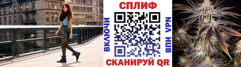 Бошки марихуана конопля Рыльск